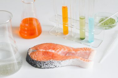 6 tipos de peixe que não devemos comer