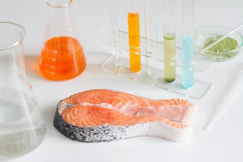 6 tipos de peixe que não devemos comer