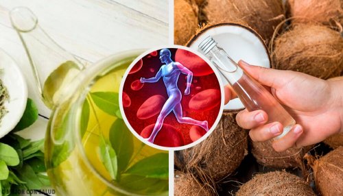 7 tratamentos naturais para a circulação
