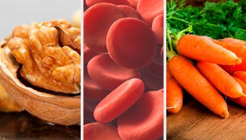 Como aumentar os glóbulos vermelhos no sangue