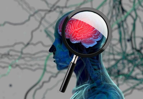 Área do cérebro afetara pelo Alzheimer