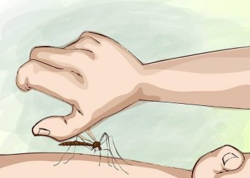 Como evitar as picadas de mosquito noturnas?