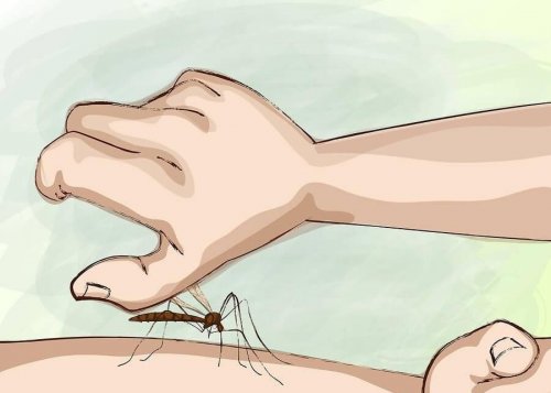 Como evitar as picadas de mosquito noturnas?