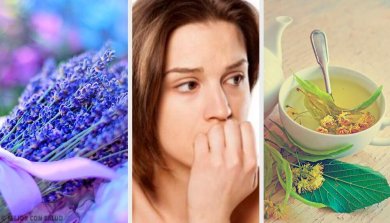 Os 5 melhores ansiolíticos naturais para acalmar a ansiedade