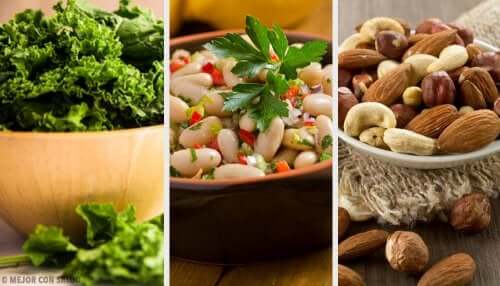 Alimentos vegetais ricos em cálcio