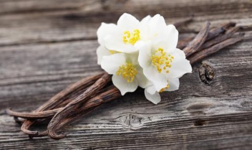 Aromatize sua casa com baunilha