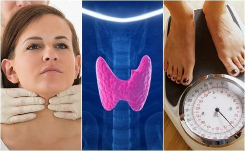 Como saber se temos hipotireoidismo? Conheça 10 sintomas Como saber se temos hipotireoidismo? Conheça 10 sintomas