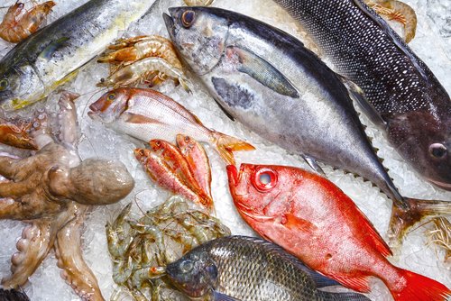 Grau de umidade dos peixes no supermercado