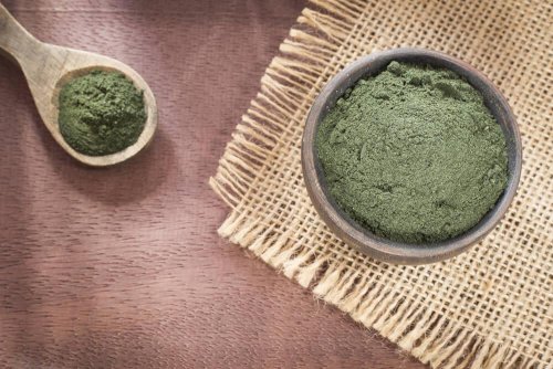 Espirulina em pó