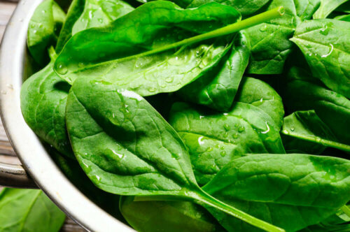 Alimentos vegetais ricos em cálcio