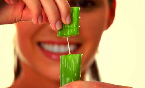 Gel de aloe vera