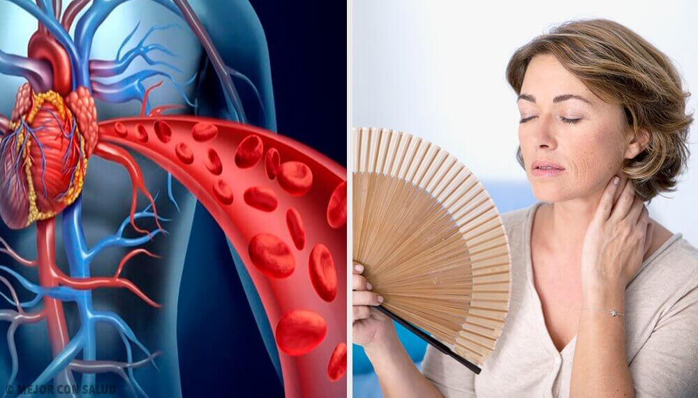 Como a menopausa afeta a saúde do coração Como a menopausa afeta a saúde do coração