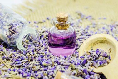 Como fazer e usar o óleo de lavanda?
