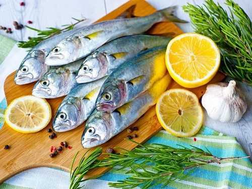Características de um peixe em bom estado