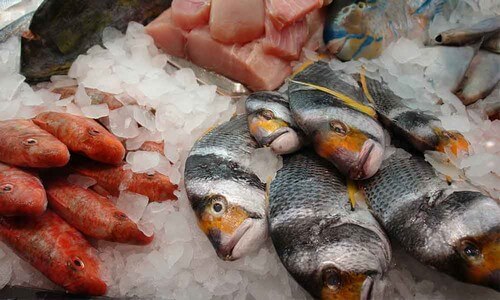 Como identificar um peixe em mau estado
