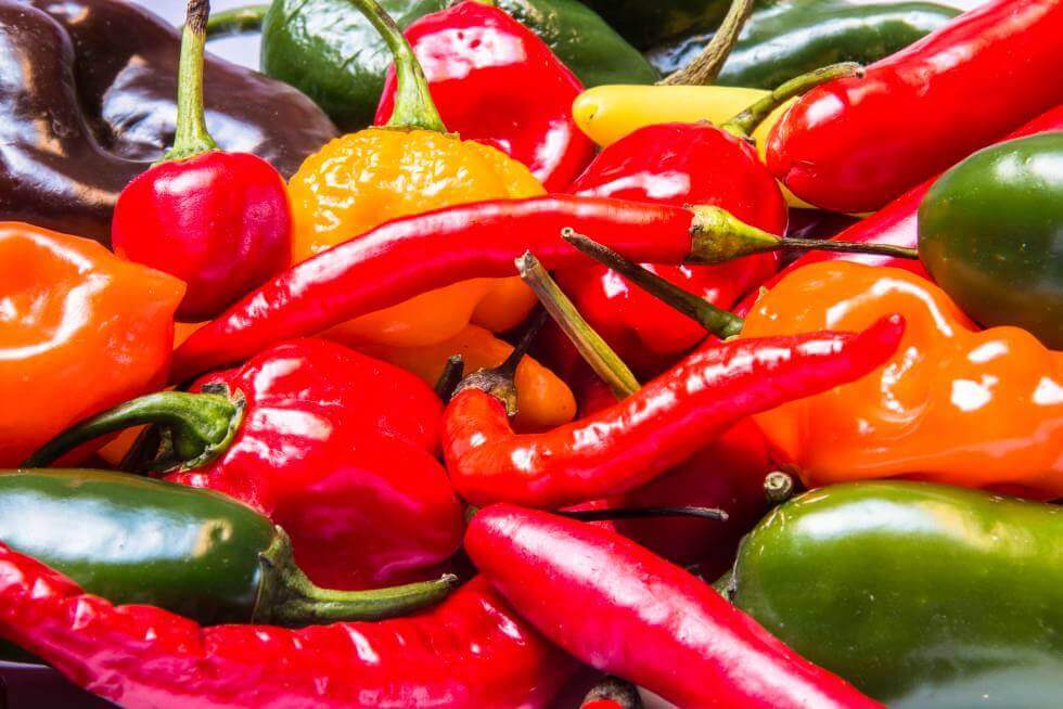 Diferentes tipos de pimenta