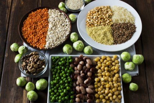 Opções diferentes para substituir a proteína animal