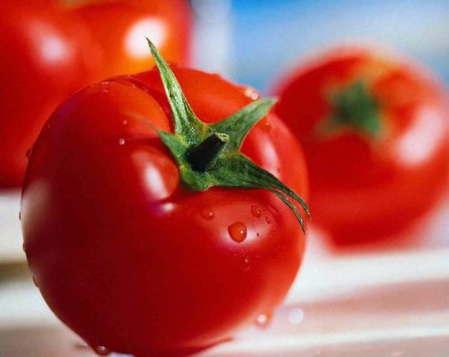 Tomates lavados