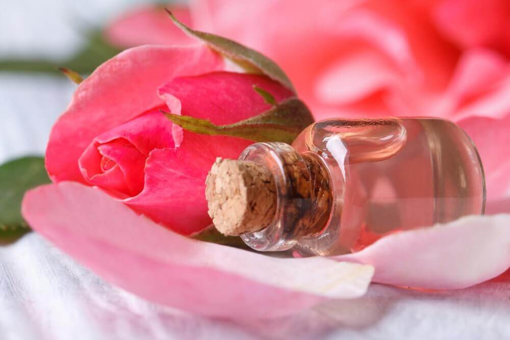 Tônico de rosas