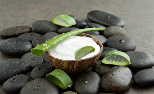 Creme caseiro com aloe vera