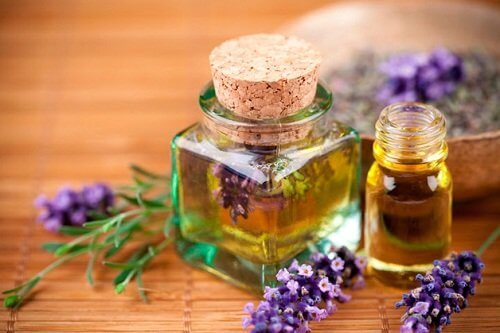Lavanda