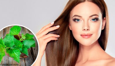 Por que a urtiga faz bem para o cabelo?