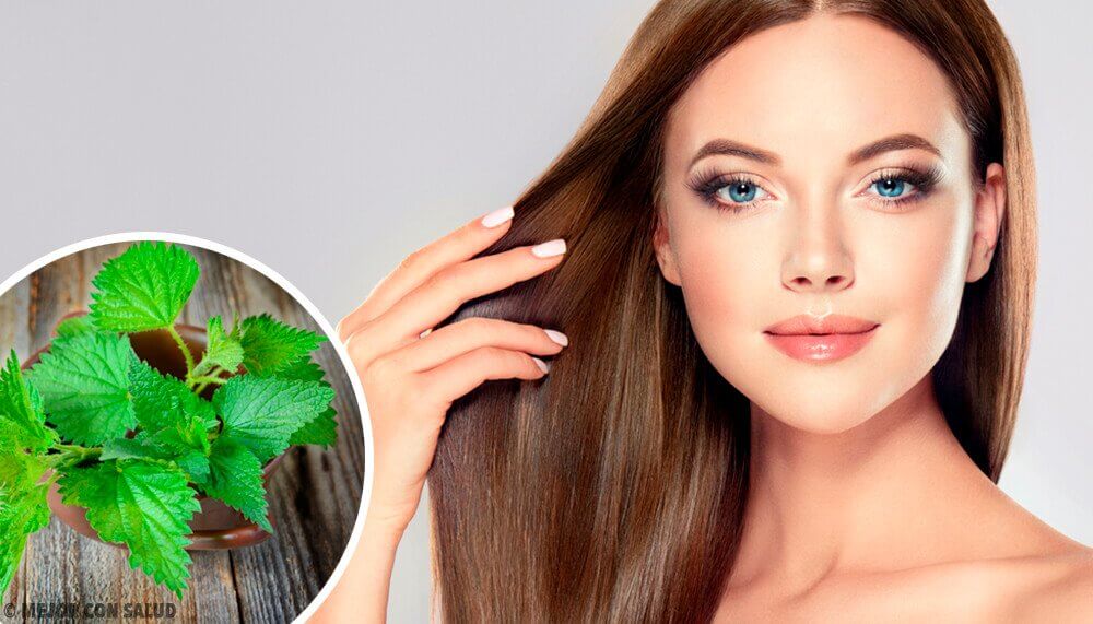 Por que a urtiga faz bem para o cabelo? Por que a urtiga faz bem para o cabelo?
