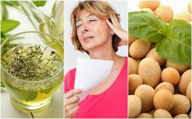 5 produtos naturais para controlar a menopausa