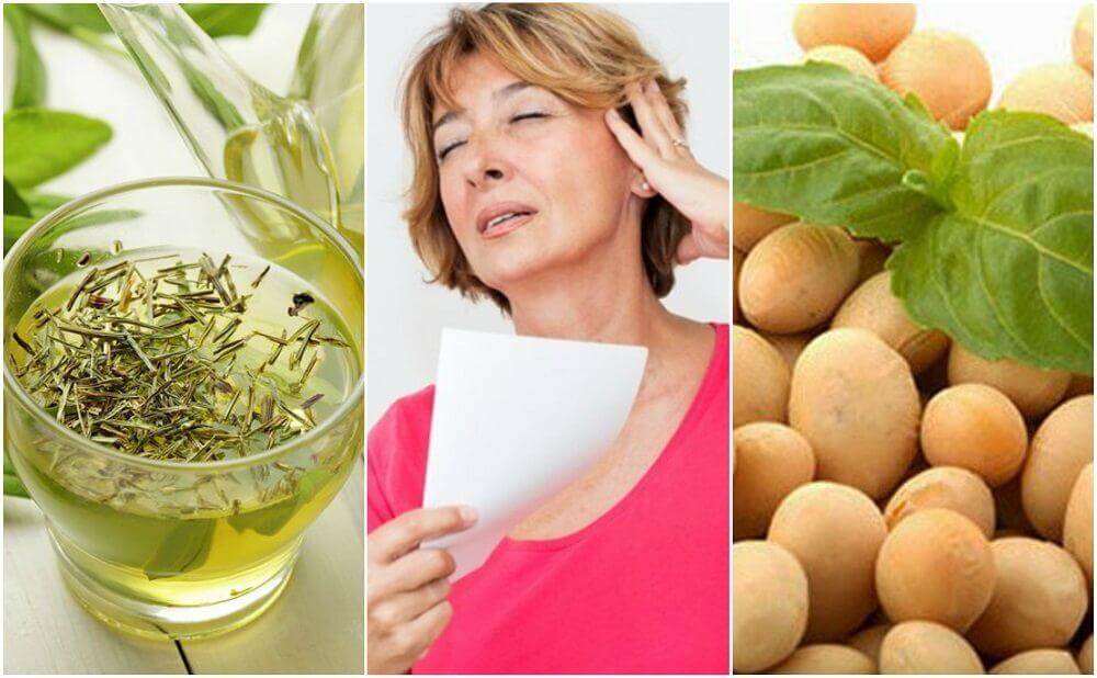 5 produtos naturais para controlar a menopausa 5 produtos naturais para controlar a menopausa