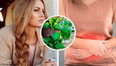 Como usar a urtiga e aproveitar ao máximo as suas propriedades