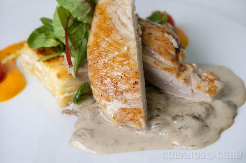 Receita de frango com molho de queijo