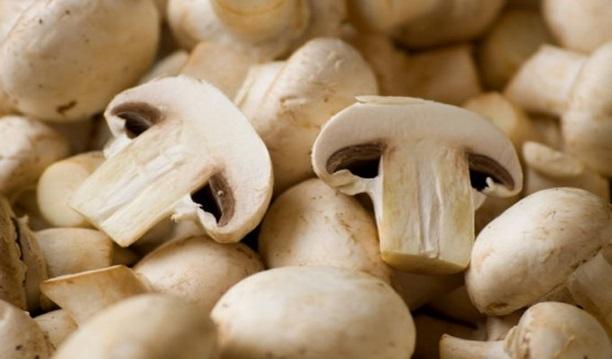 Propriedades nutricionais dos cogumelos