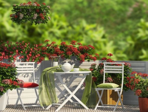 Um jardim agradável no terraço