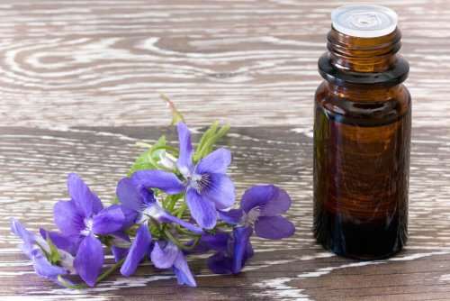 Terapia com florais de Bach