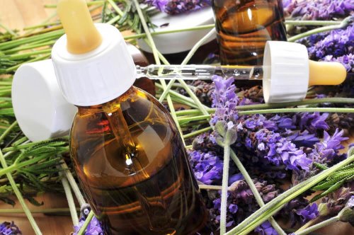 Terapia com florais de Bach