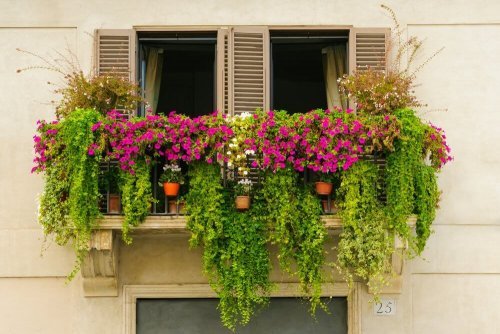 Minijardins urbanos para dar harmonia à sua varanda