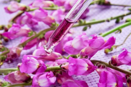 Terapia com florais de Bach