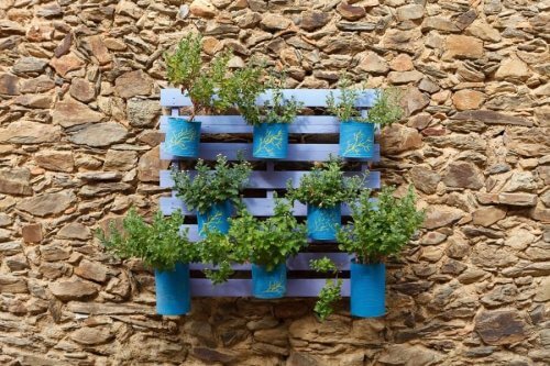 Jardim vertical