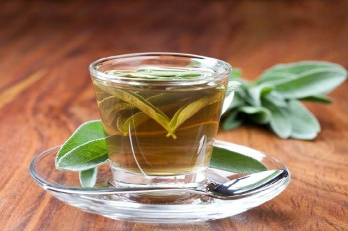 Chá de sálvia ajuda a tratar a dor de garganta