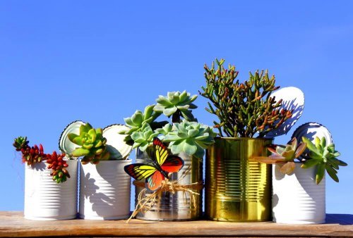 Vasos de plantas reciclados