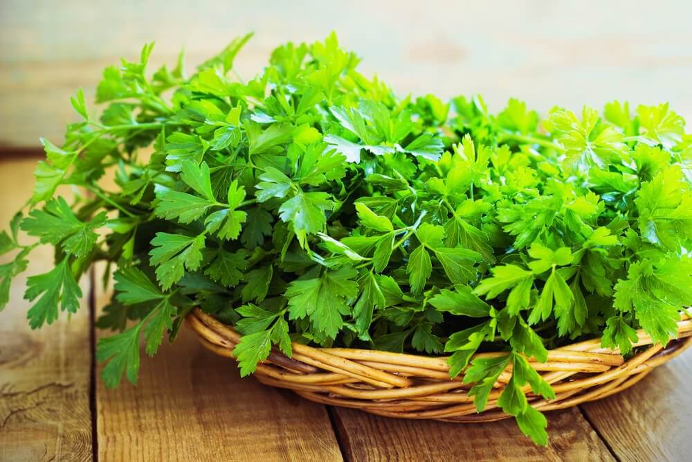 Salsa Rins Salsa: 5 benefícios incríveis obtidos ao consumir salsa