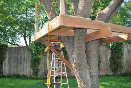 Construir uma casa na árvore para as crianças