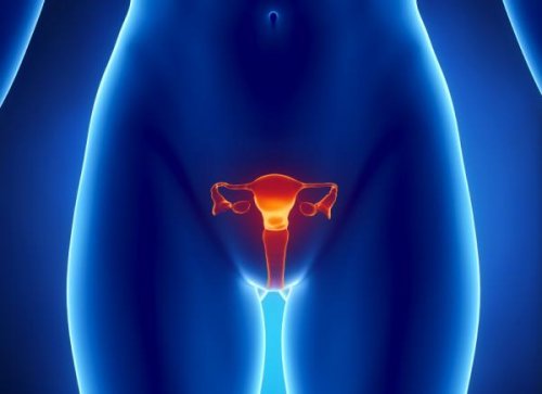 Imagem de sistema gestacional de mulher de 45 anos