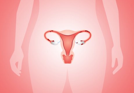 Saúde reprodutiva feminina