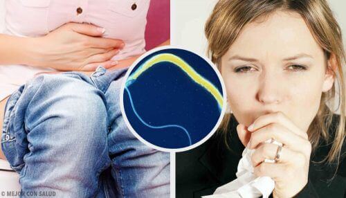 Como eliminar lombrigas intestinais com abacate