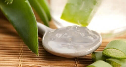 O gel de aloe vera tem sido recomendado para tratamentos capilares há bastante tempo