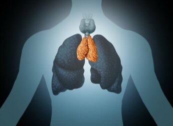 O timo: mediador do bem-estar e do sistema imune