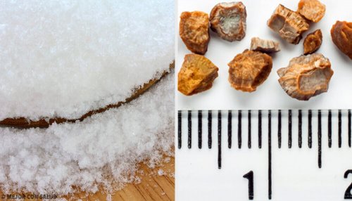 7 remédios caseiros para expelir pedras nos rins - Melhor com Saúde