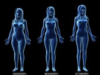 Conheça a dieta ideal para cada tipo de corpo
