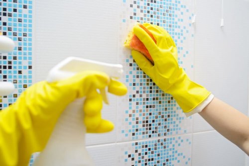 Receitas naturais para remover o calcário do banheiro
